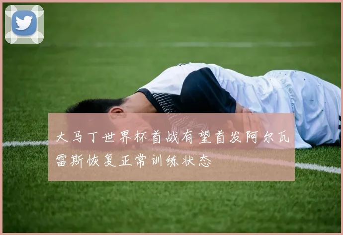 大马丁世界杯首战有望首发阿尔瓦雷斯恢复正常训练状态