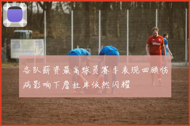 各队薪资最高球员赛季表现回顾伤病影响下詹杜库依然闪耀