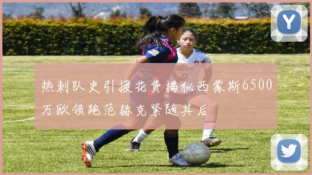 热刺队史引援花费揭秘西蒙斯6500万欧领跑范赫克紧随其后